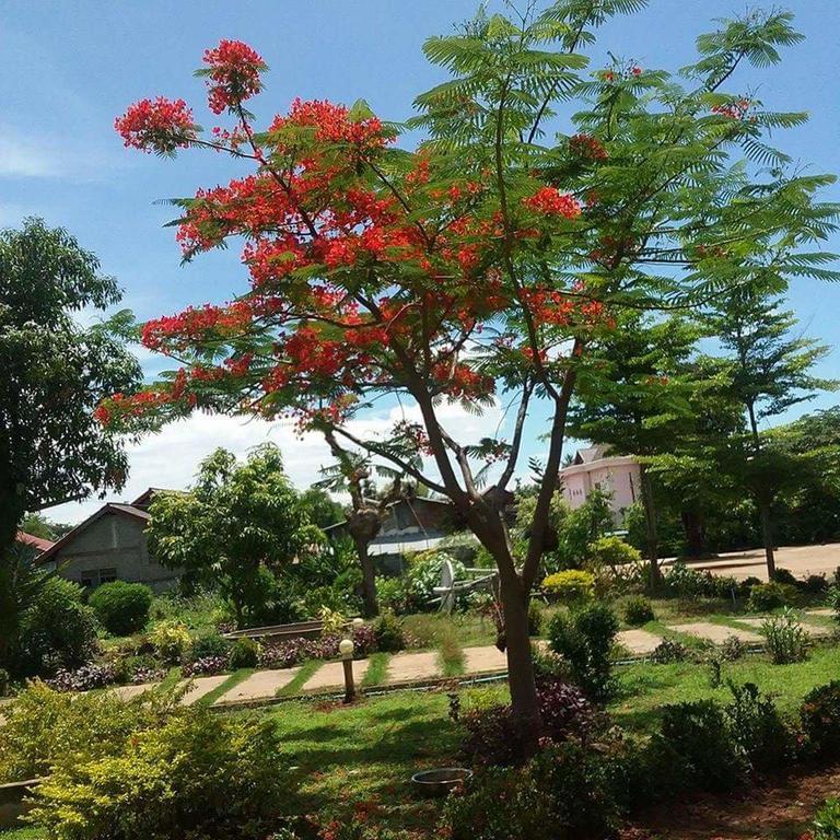 Xuanmai Garden Resort パークセー エクステリア 写真